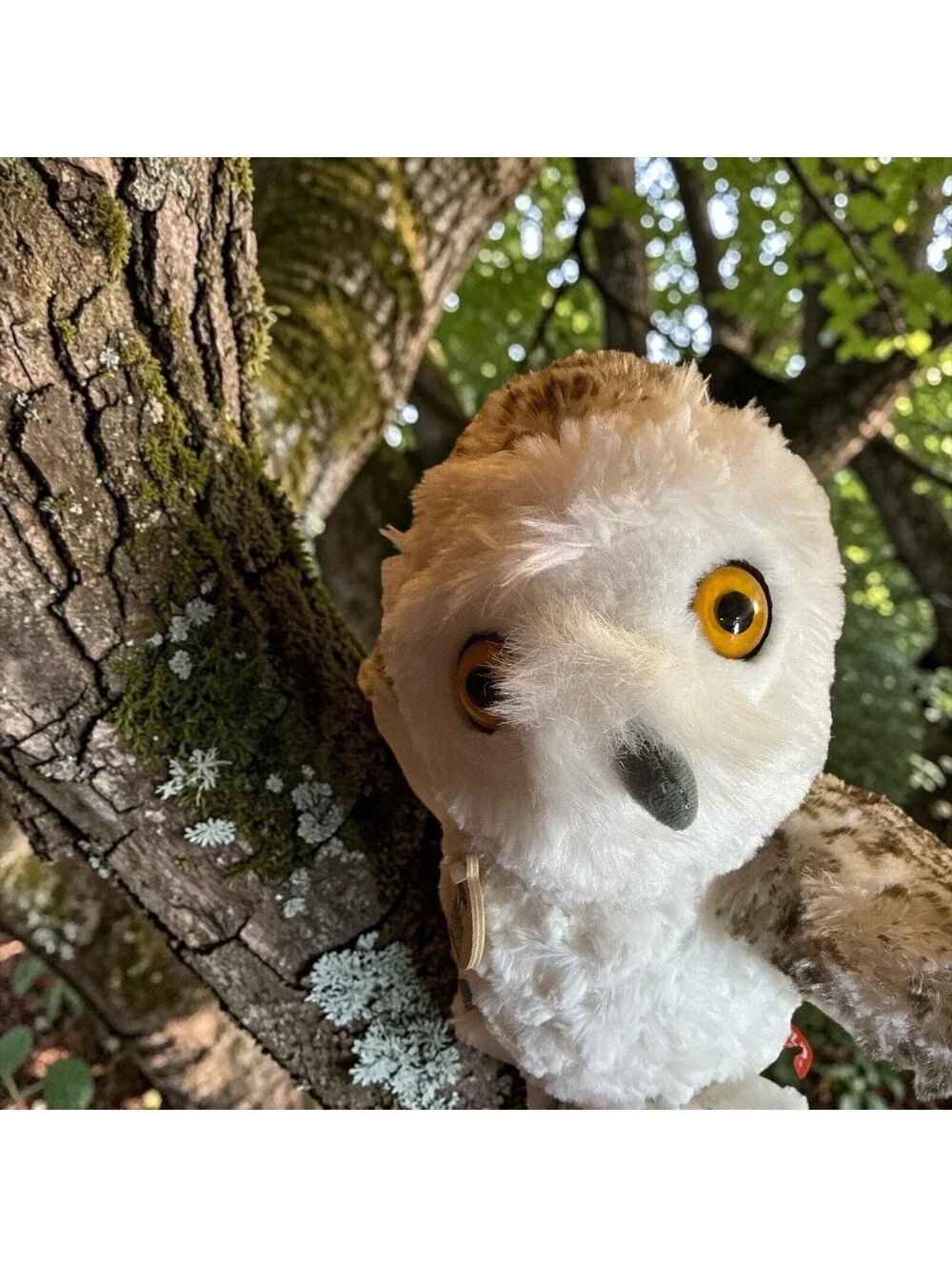 Wild Republic Snowy Owl San Francisco Zoo Edition Plush 11